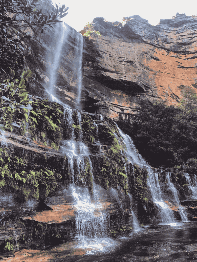 Why You Need To Visit The Blue Mountains, Australia