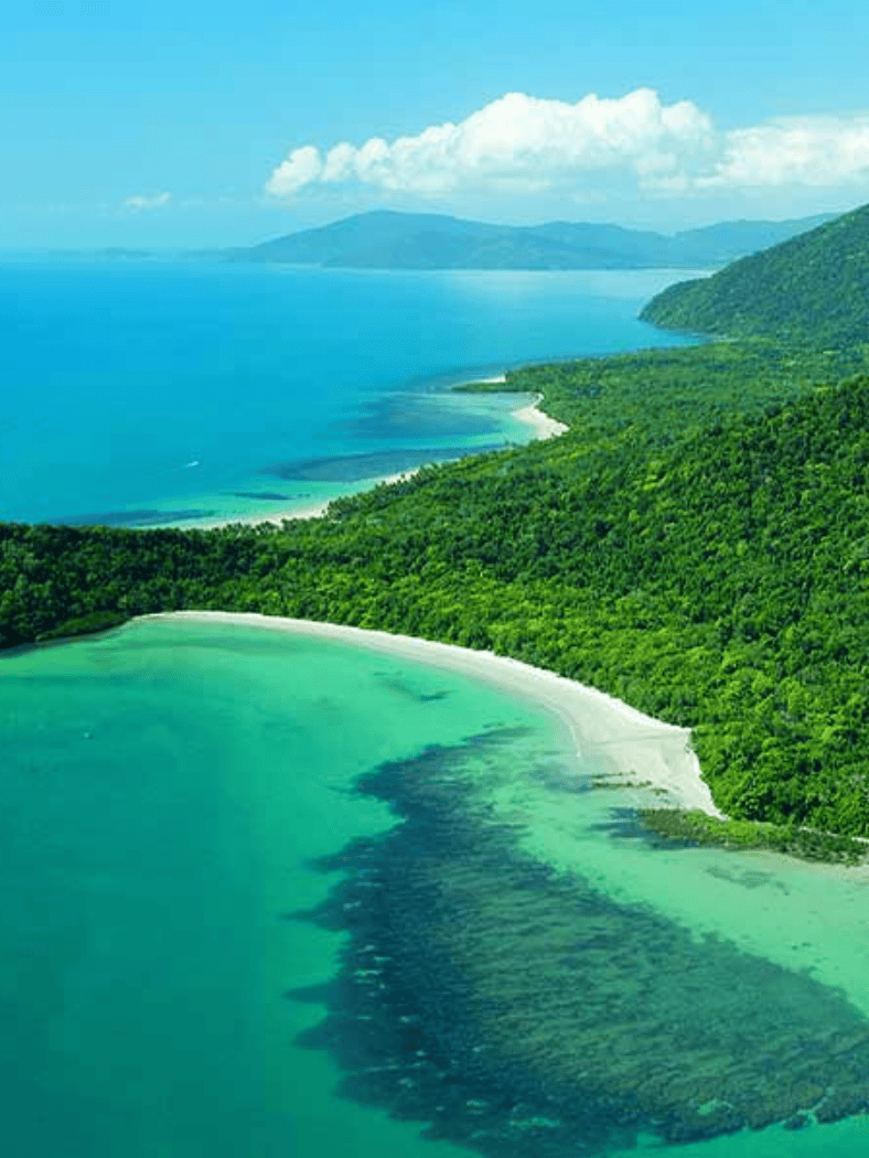 Cairns To Cape Tribulation: A Road Trip Itinerary