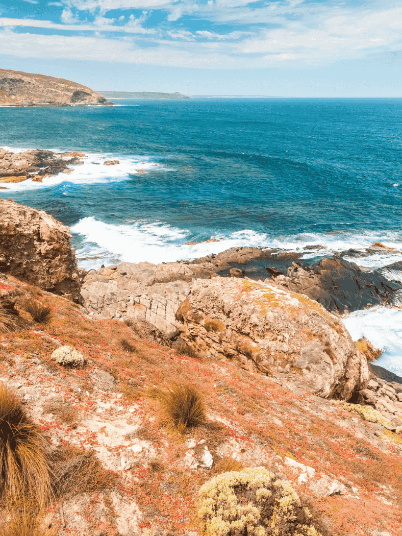 9 Reasons To Add Kangaroo Island To Your Bucket List