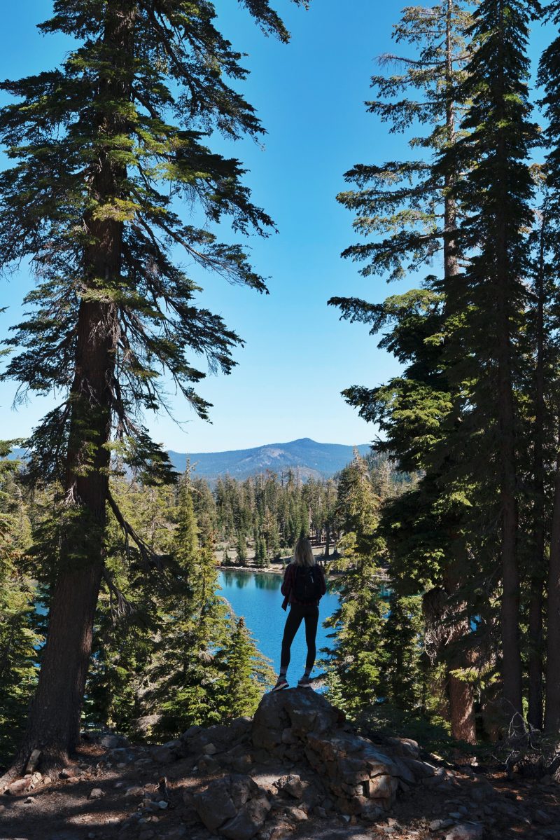 NORTH CALIFORNIA ROAD TRIP - Zanna Van Dijk