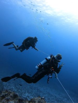 Guide to scuba diving for beginners with tips on how to learn