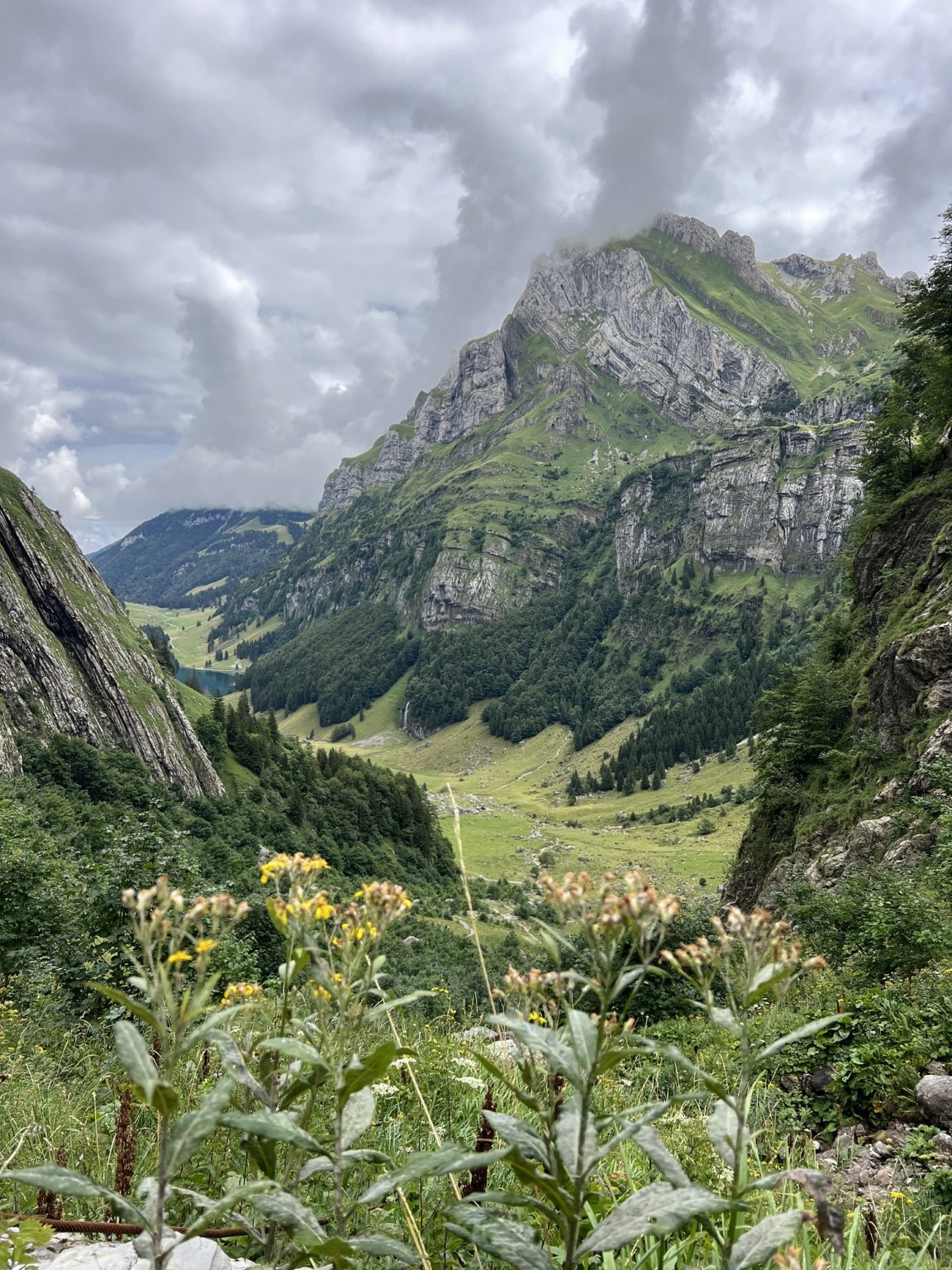 Appenzell Hiking Guide: The Best Hikes in Appenzell