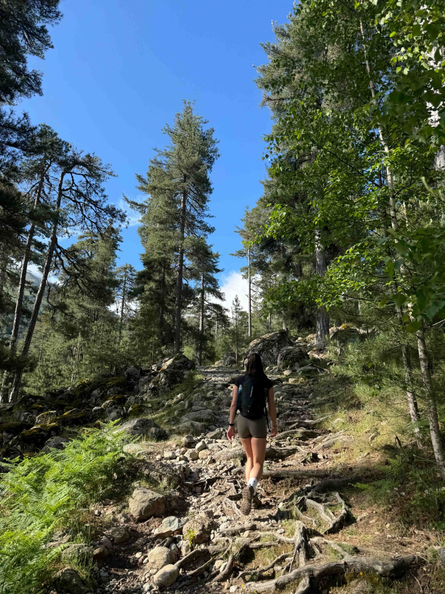 A woman hiking up a hill surrounded by trees in Corsica