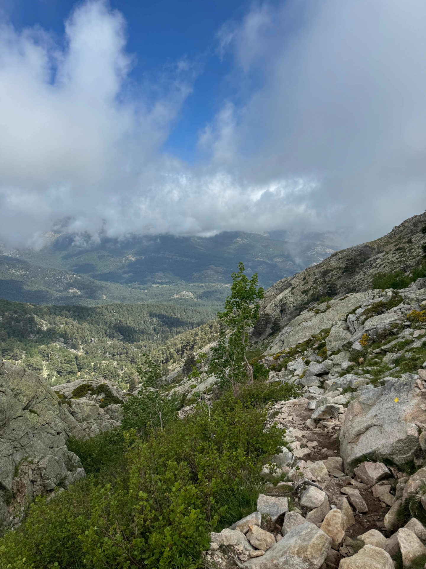 A view of the Corsican mountains and landscape