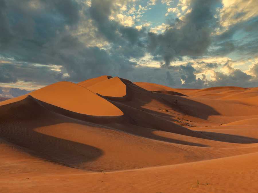 Wahiba Sands, Oman