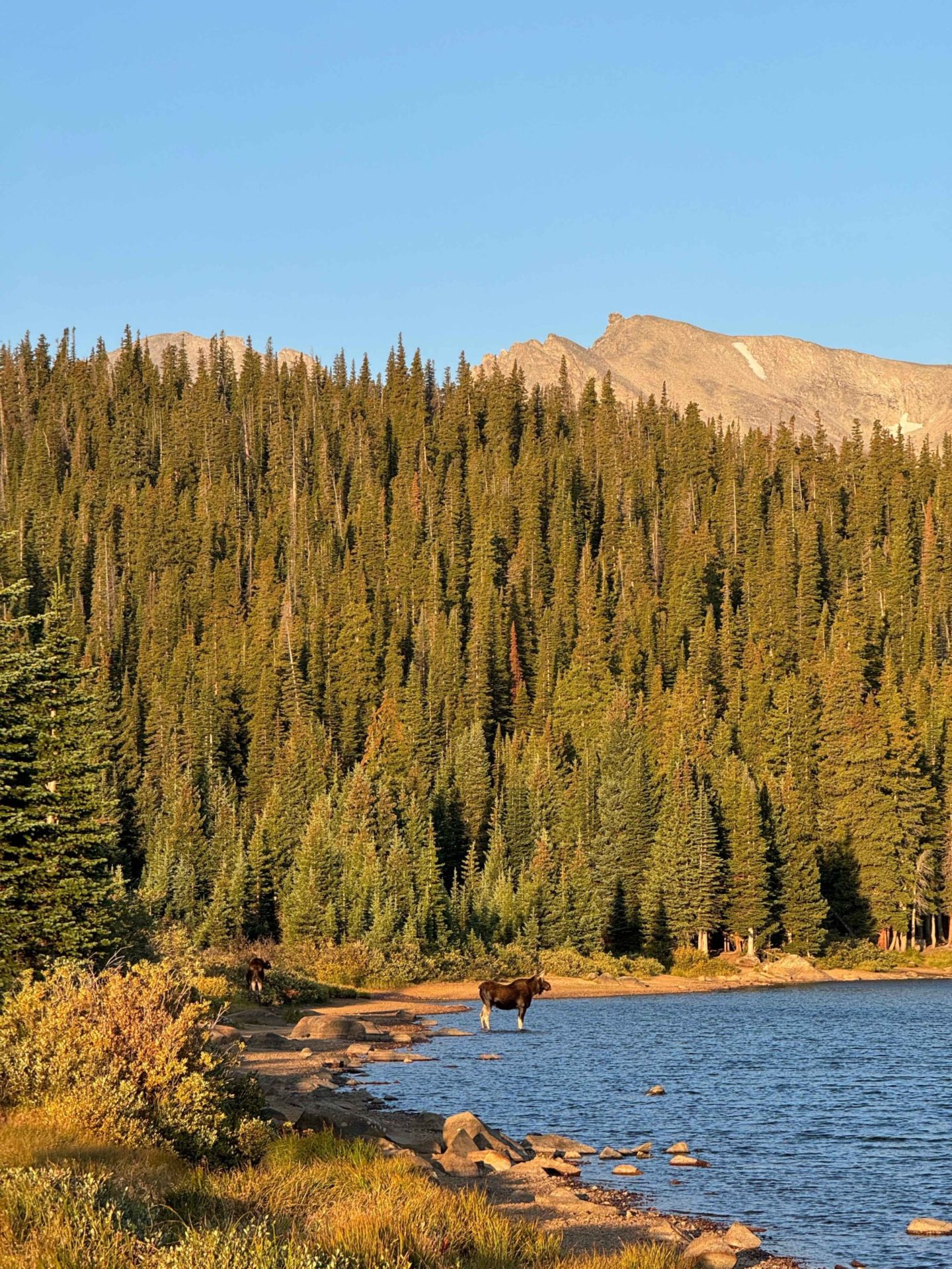 Wildlife spots whilst hiking Denver, Colorado