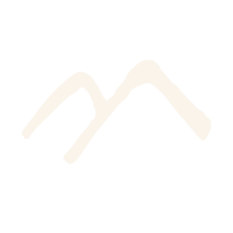 ZANNALOGO (Logo) (3)