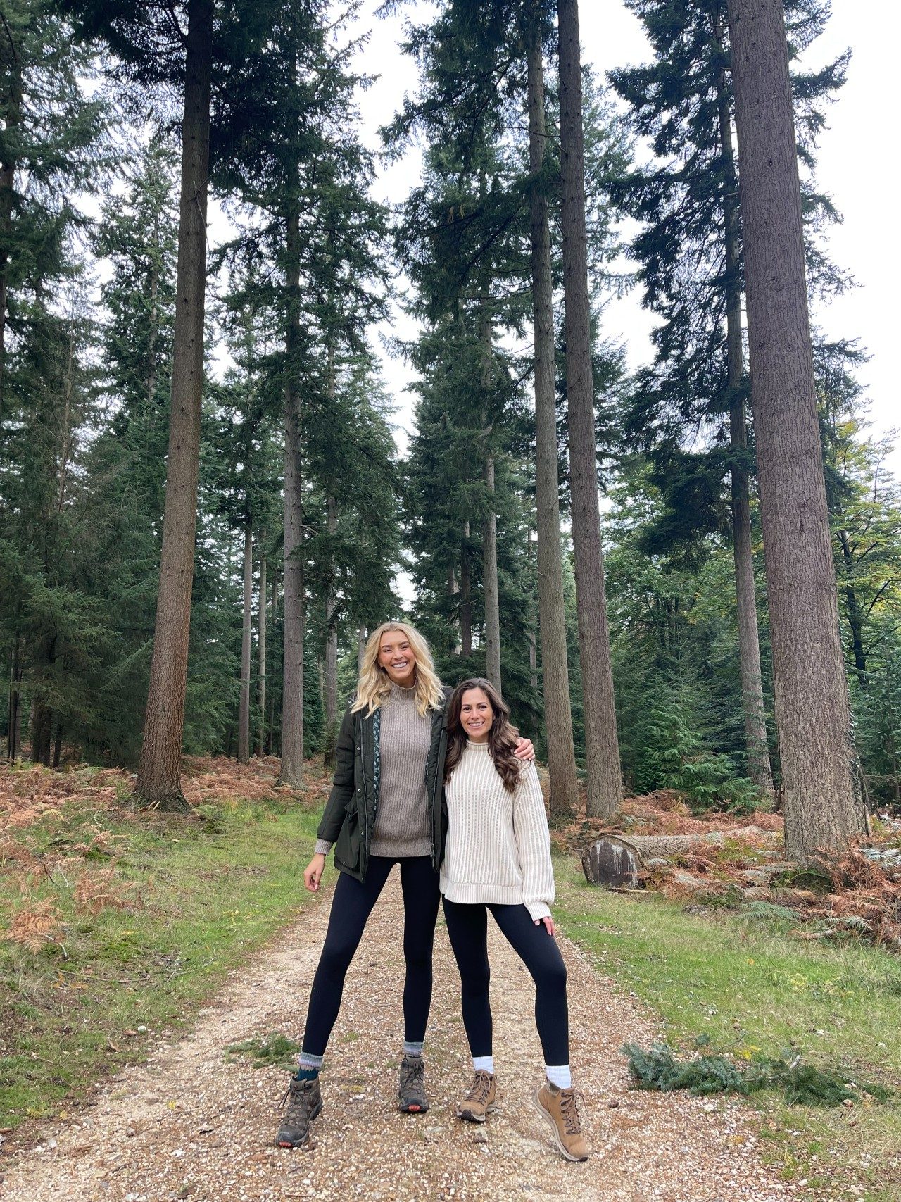 7 Best Things To See & Do In The New Forest