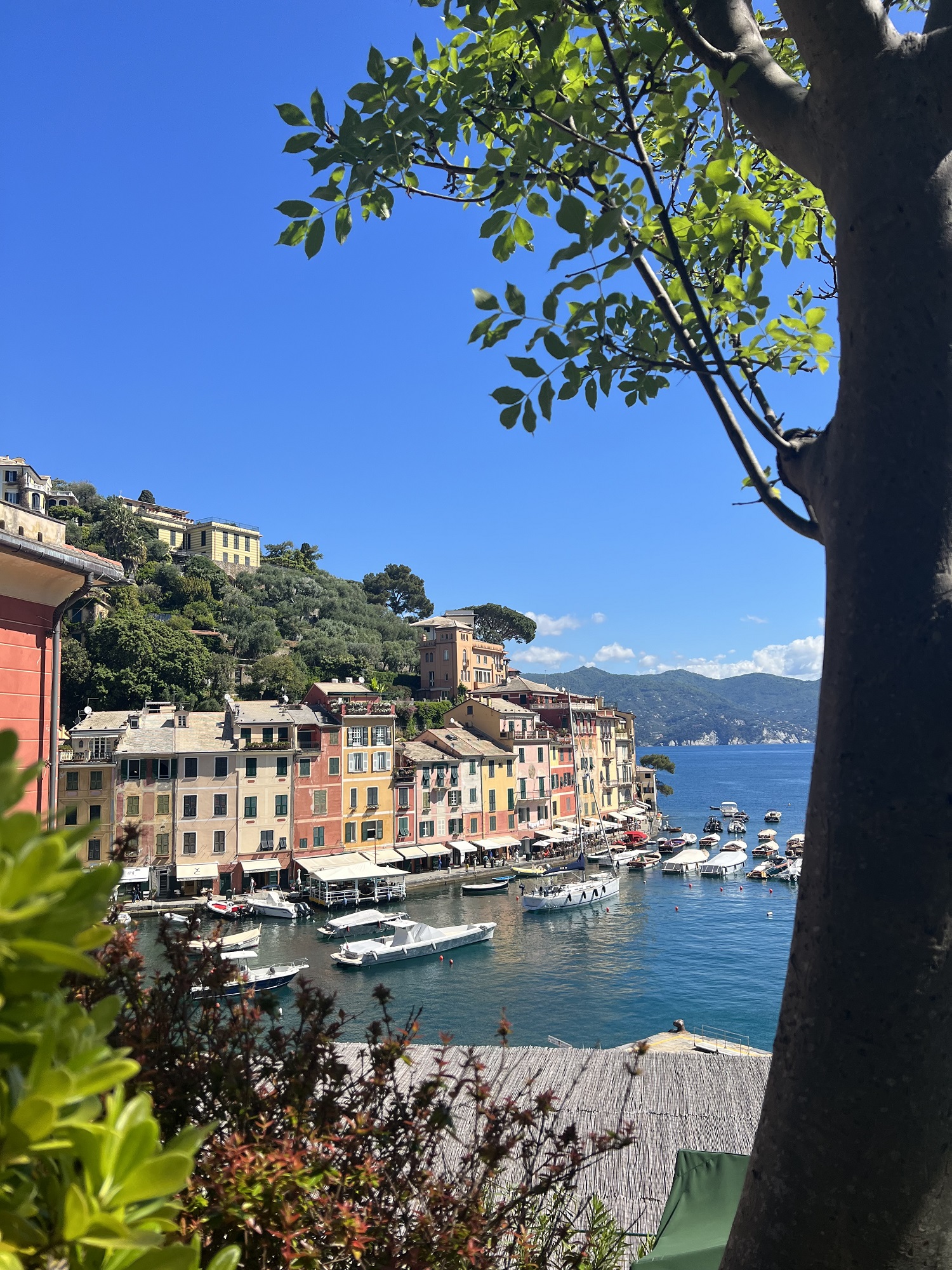 Cinque Terre Travel Guide: The Best Hikes In Cinque Terre, Italy