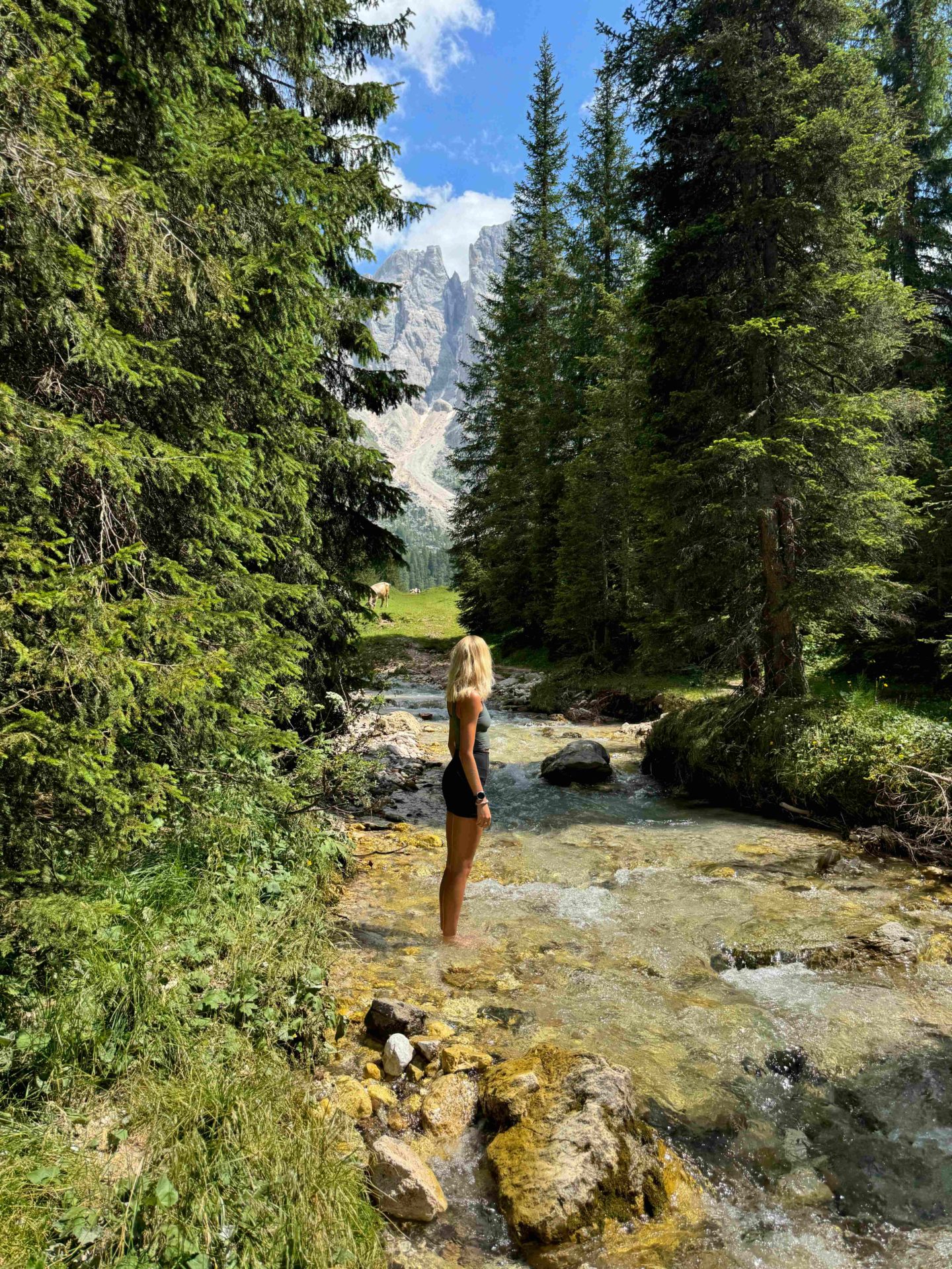 The Best Hikes In San Martino Di Castrozza, The Dolomites