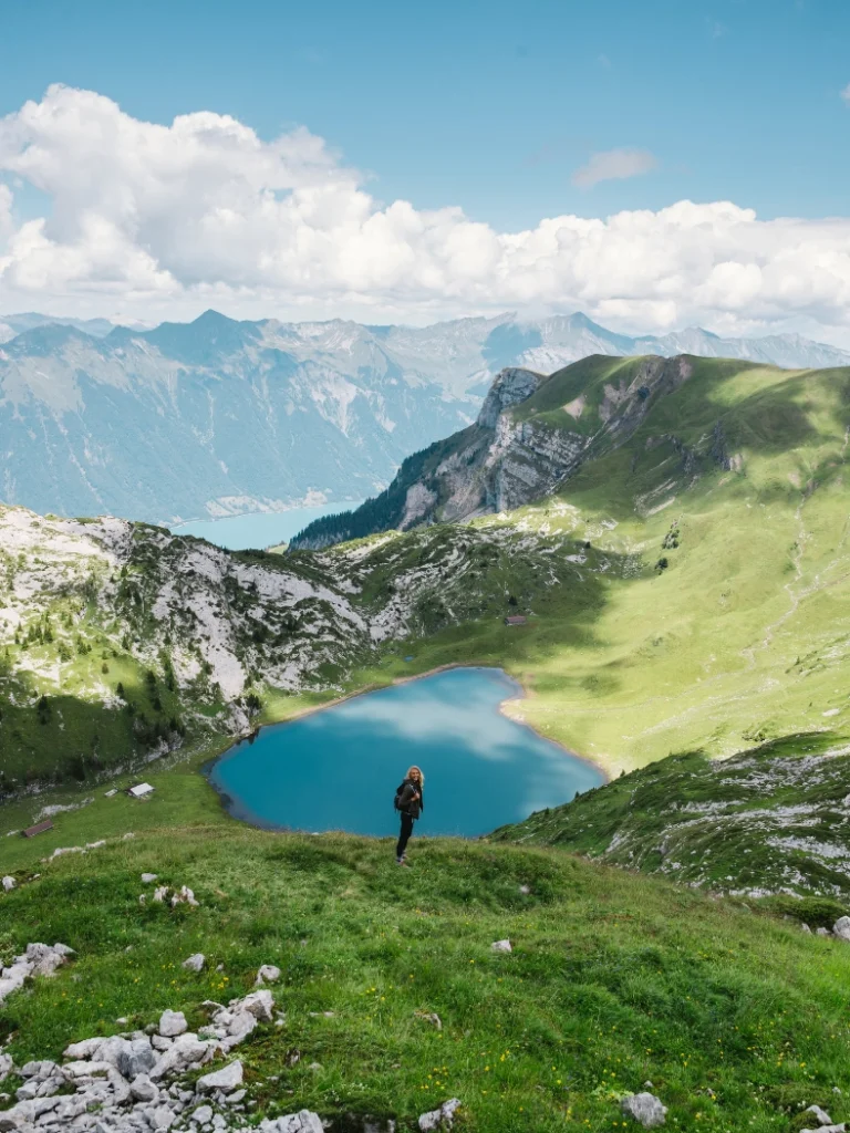 About Zanna van Dijk (1)