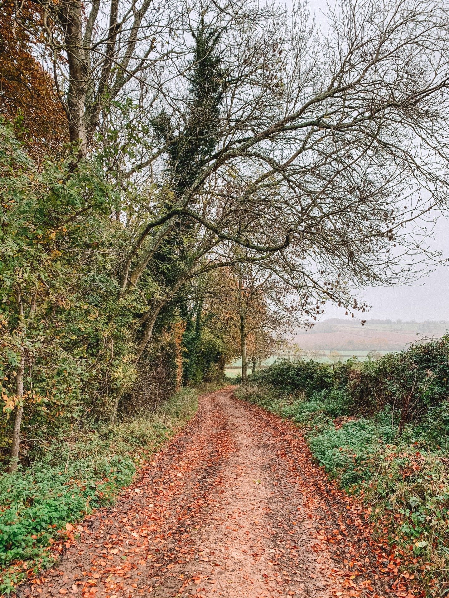 The Cotswolds Travel Guide: What To See And Do In The Cotswolds