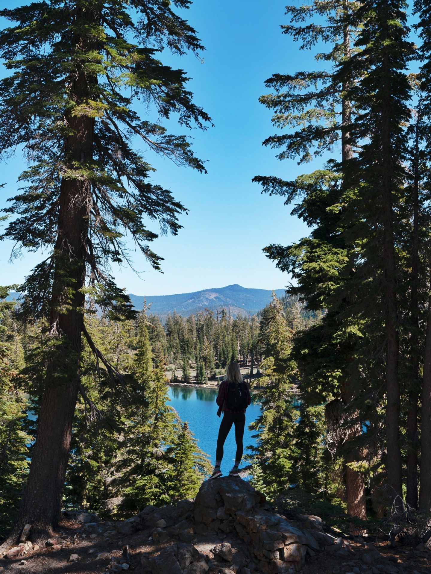 Northern California Road Trip Itinerary: Shasta Cascade, The Redwood Coast & Mendocino