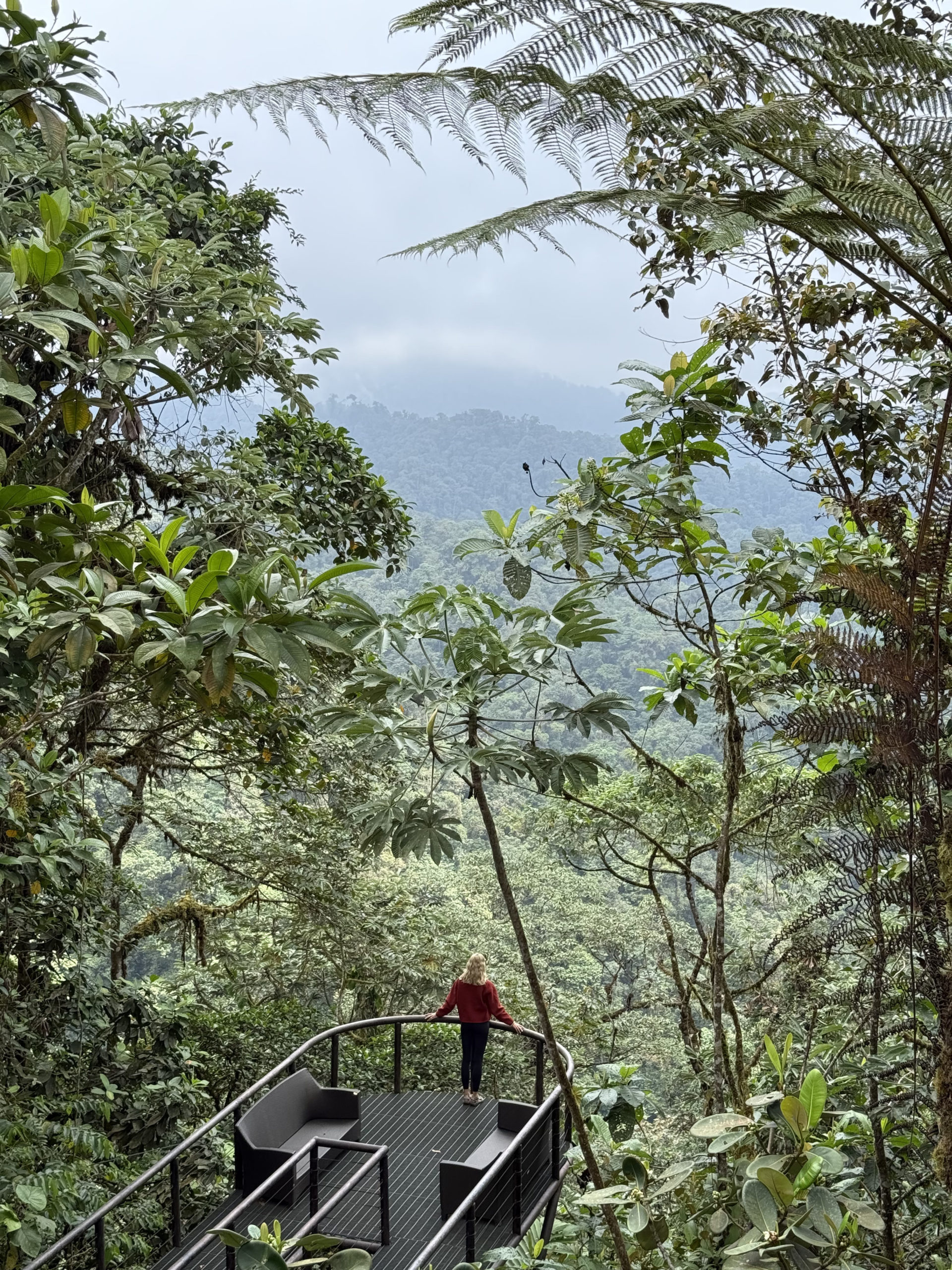 The Ultimate Ecuador 3 Week Itinerary | Ecuador & Galapagos Islands Travel Guide