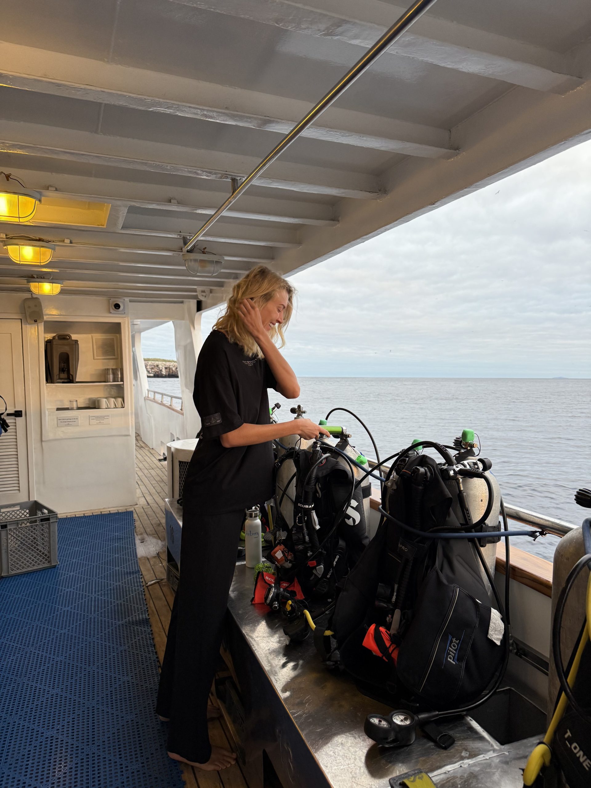 Galapagos Islands Scuba Diving Travel Guide | Diving In The Cold Season