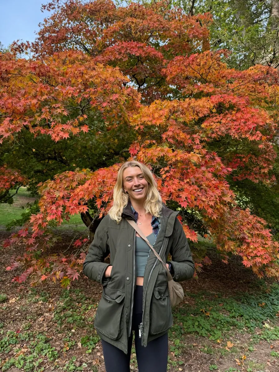 5 Beautiful Walks Near London To See The Autumn Colours