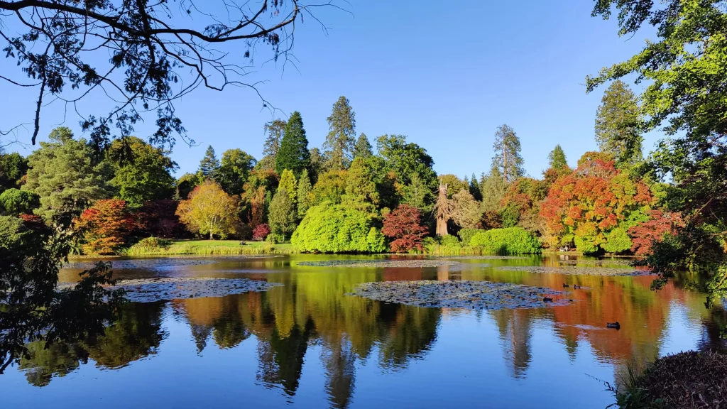 Sheffield Park, autumn trees on the lake