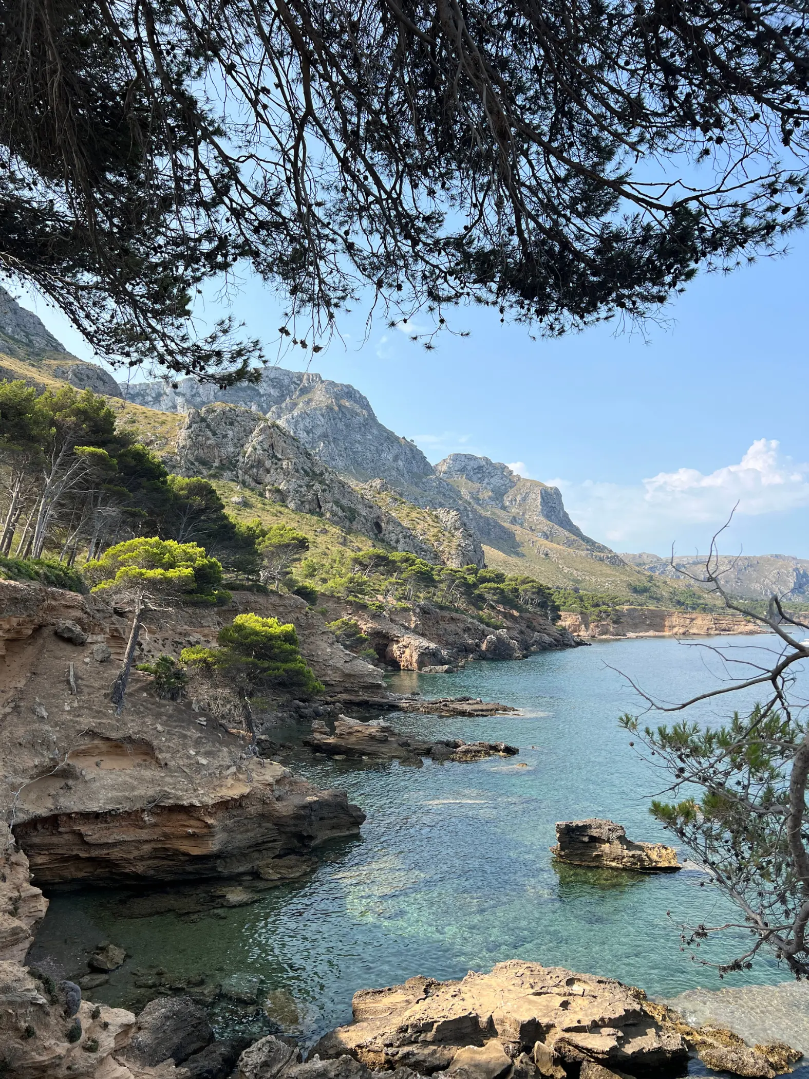 Where To Stay in Mallorca: The Best Areas and Locations
