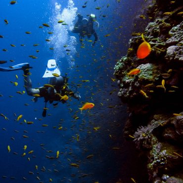 A Beginners Guide to Scuba Diving: Qualifications, Gear & Tips