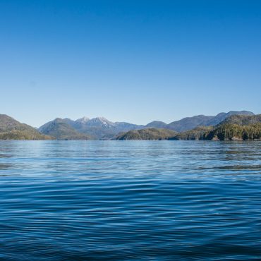 Tofino Travel Guide: 8 Things To Do In Tofino, Canada